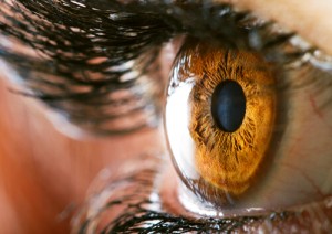 Close-up of an eye after Conductive Keratoplasty